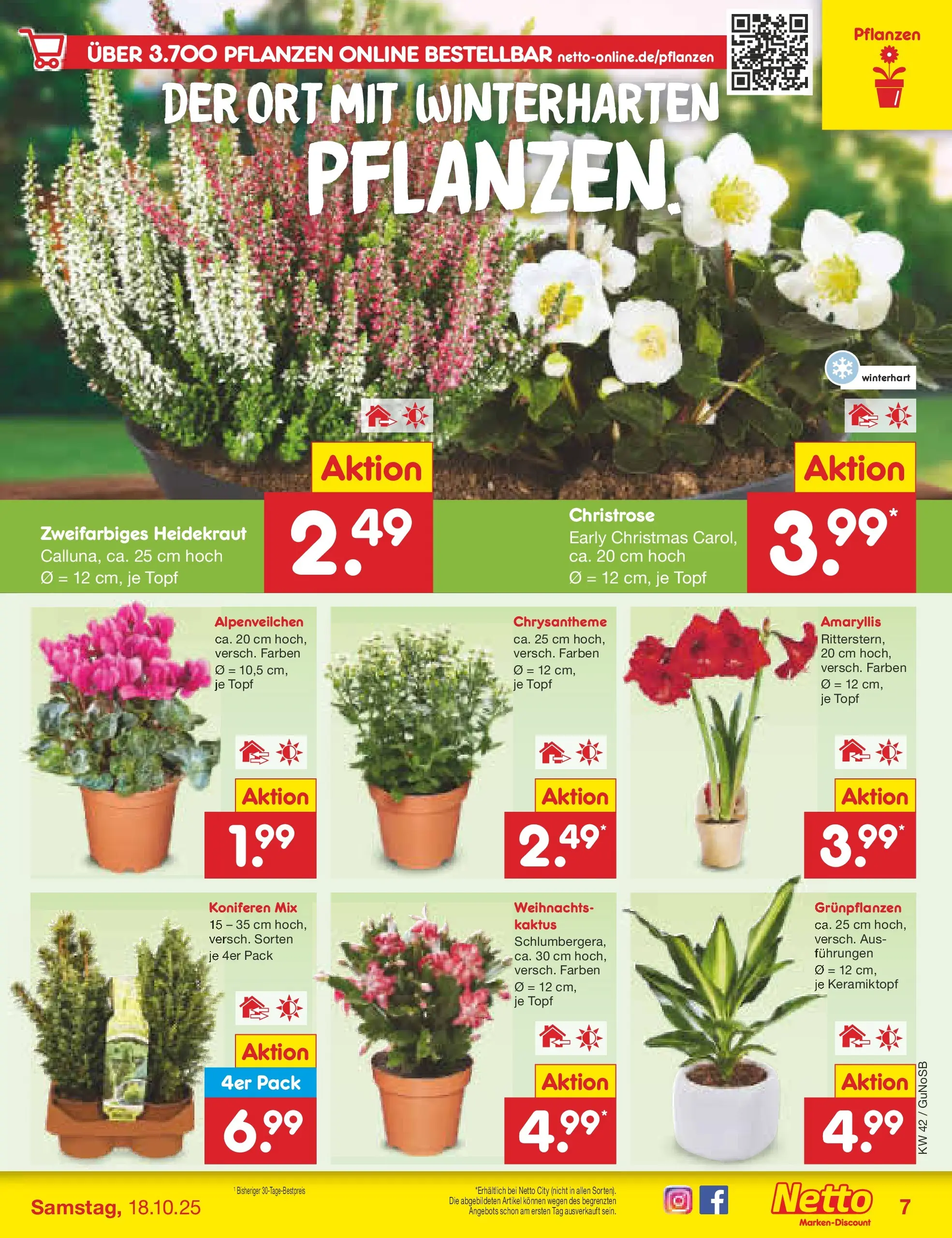 Netto Marken-Discount prospekt Machern	 (ab 13.10.2025) » Angebote | Seite: 7