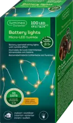 Dekorieren & Einrichten LED Lichterkette Micro Durawise, klassisch warm (100 er)