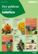 bellaflora Innsbruck Bellaflora: Flugblatt - bis 15.10.2025