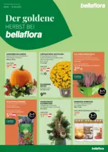 Bellaflora: Flugblatt