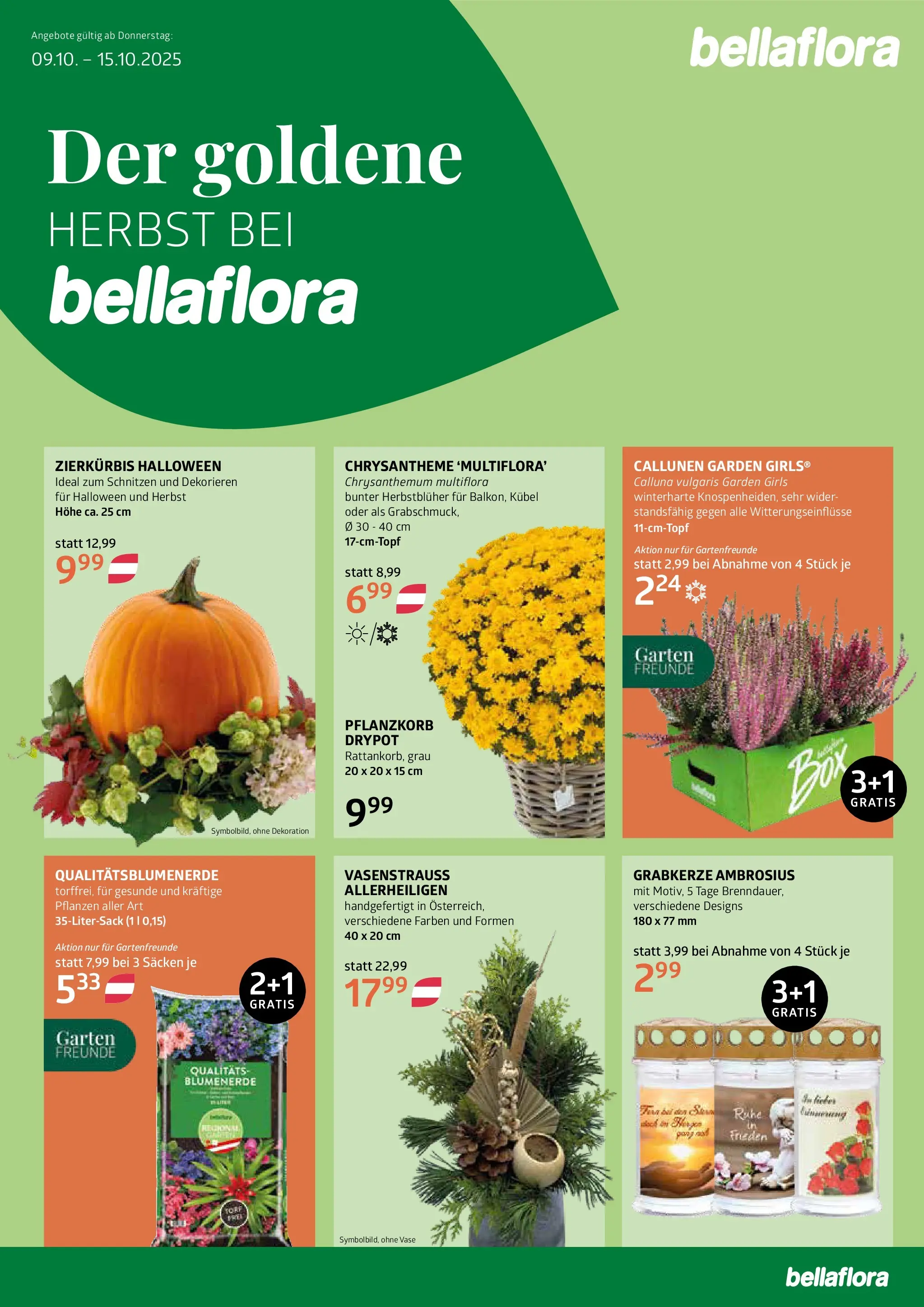 bellaflora Flugblatt von 09.10.2025 - Aktuelle Angebote | Seite: 1 | Produkte: Vase