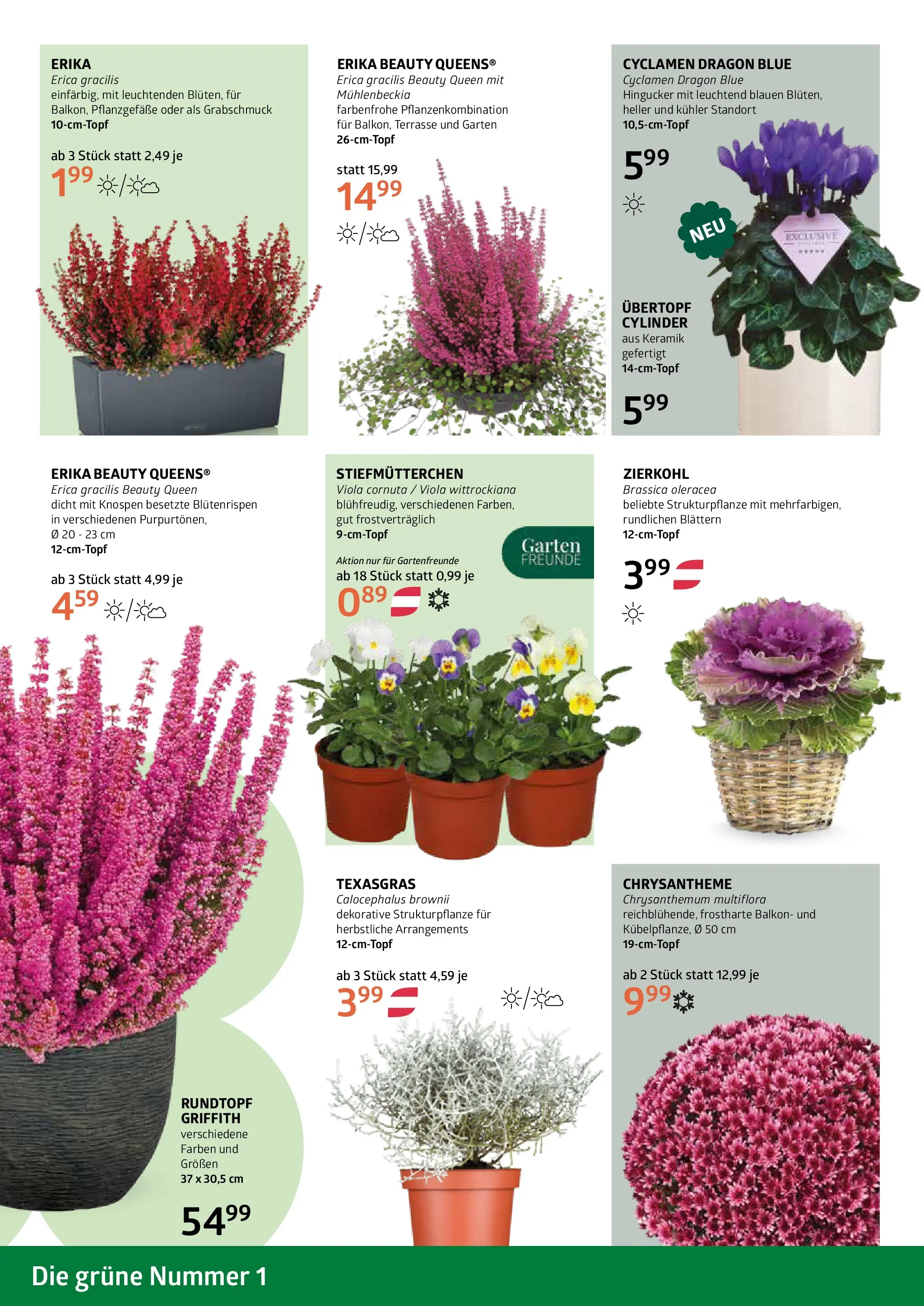 bellaflora Flugblatt von 09.10.2025 - Aktuelle Angebote | Seite: 2