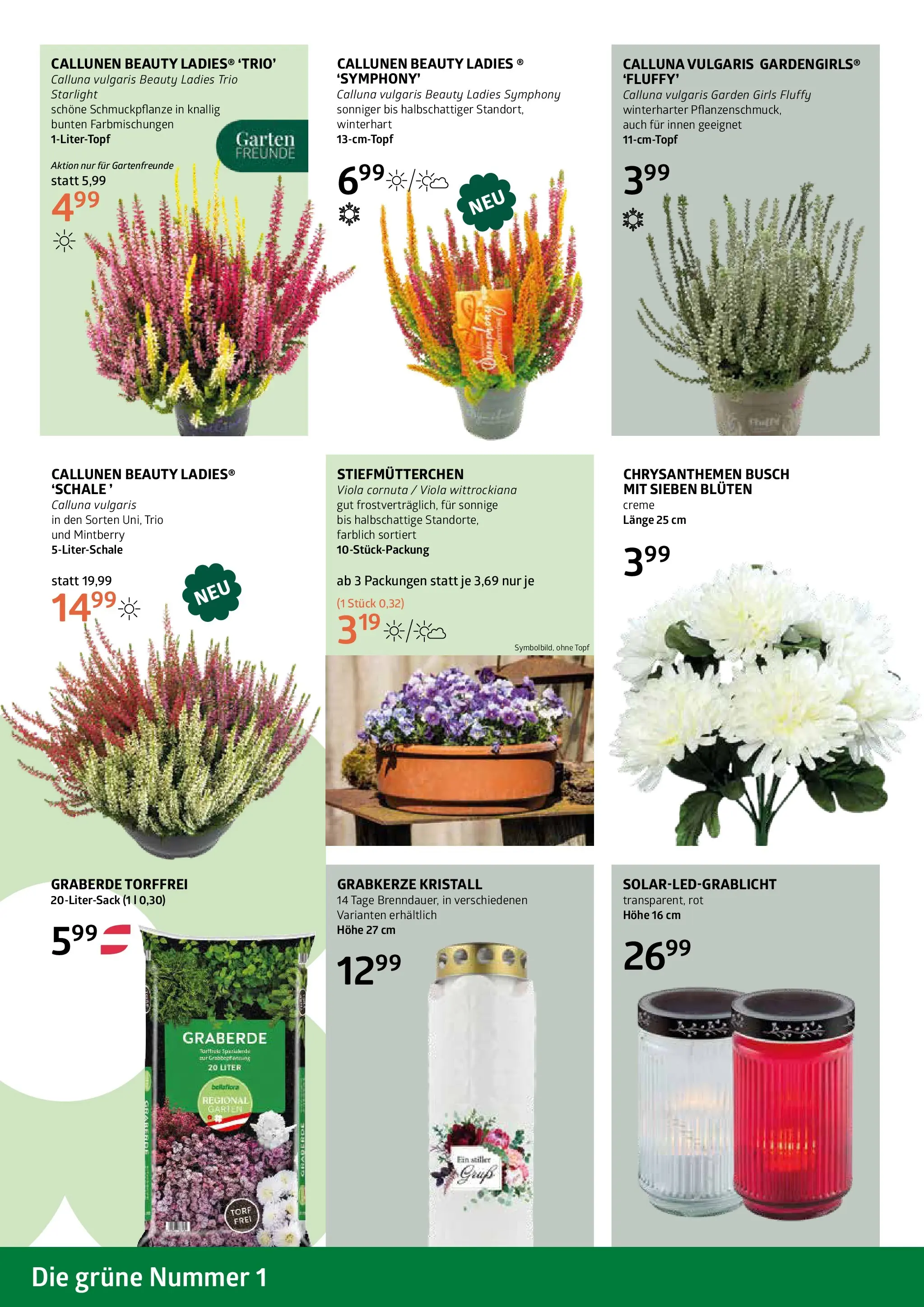 bellaflora Flugblatt von 09.10.2025 - Aktuelle Angebote | Seite: 4 | Produkte: Creme