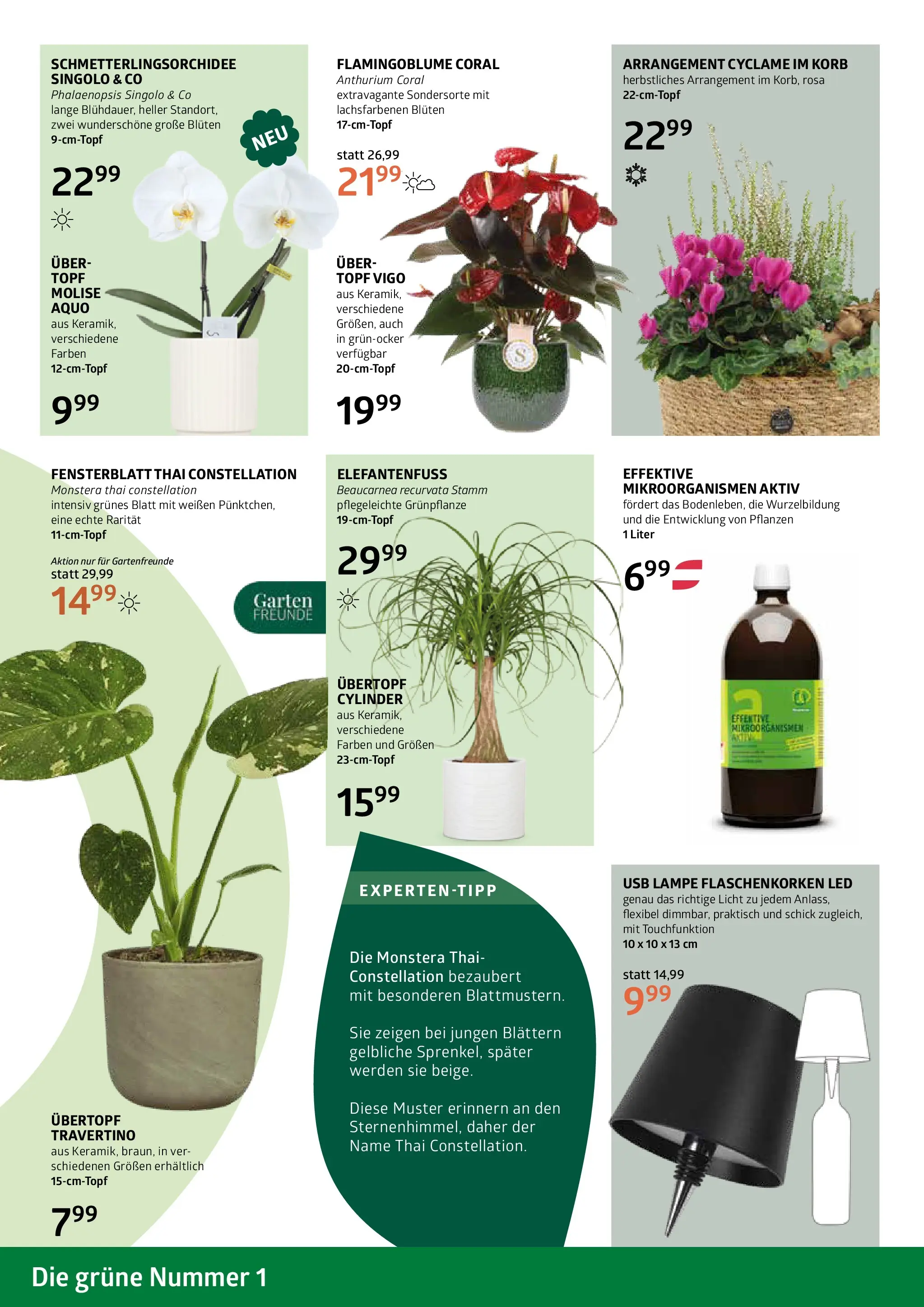 bellaflora Flugblatt von 09.10.2025 - Aktuelle Angebote | Seite: 6 | Produkte: USB, Korb, Lampe