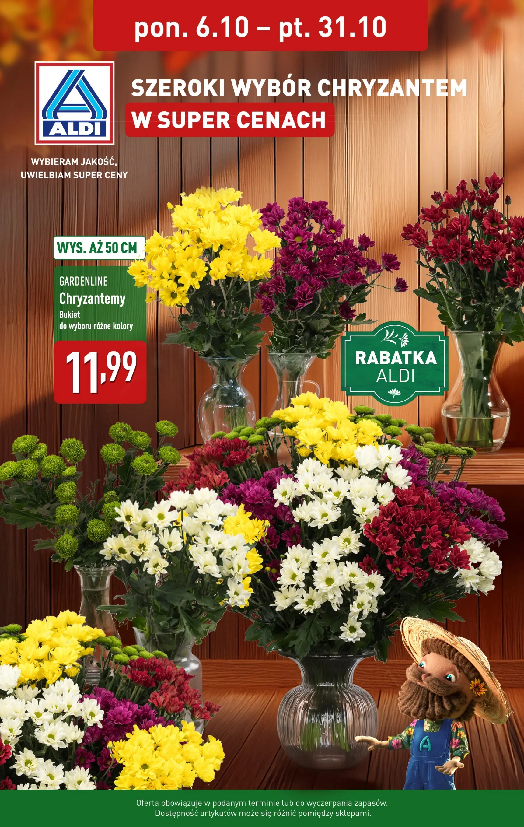 Aldi Gazetka - Chryzantemy od 06.10.2025 - Ulotka PDF, promocje | Strona: 1 | Produkty: Chryzantemy