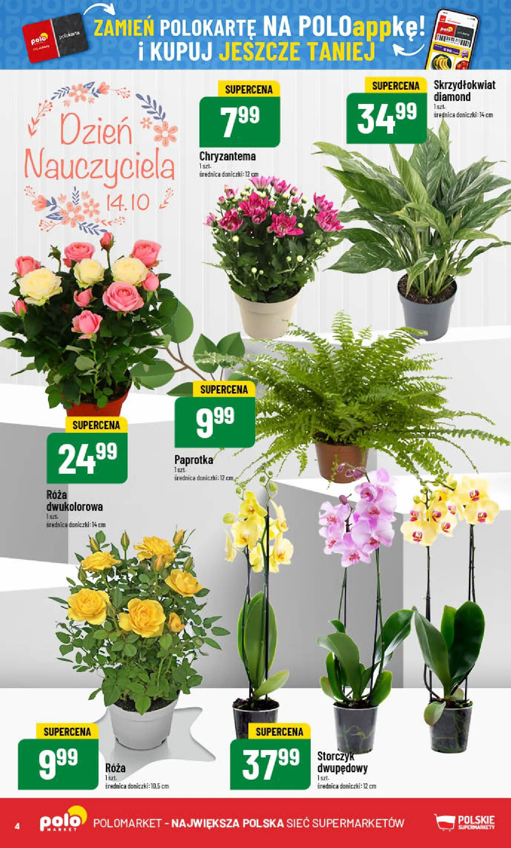 POLOmarket gazetka od jutra (08.10.2025) - Nowa PDF | Strona: 4 | Produkty: Doniczki, Storczyk