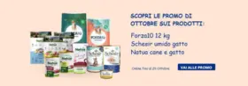 Scopri le promo di ottobre sui prodotti