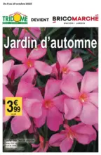 Jardin d'automne