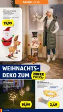 HOFER HOFER: Flugblatt - bis 16.10.2025