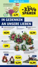 HOFER HOFER: Flugblatt - bis 16.10.2025