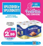 Splendidi e Splendenti La fedelta che conviene - al 21.10.2025