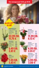 ЛИДЛ Сваляме цените в ЛИДЛ с предложения до 19.10.2025 - до 19-10-25
