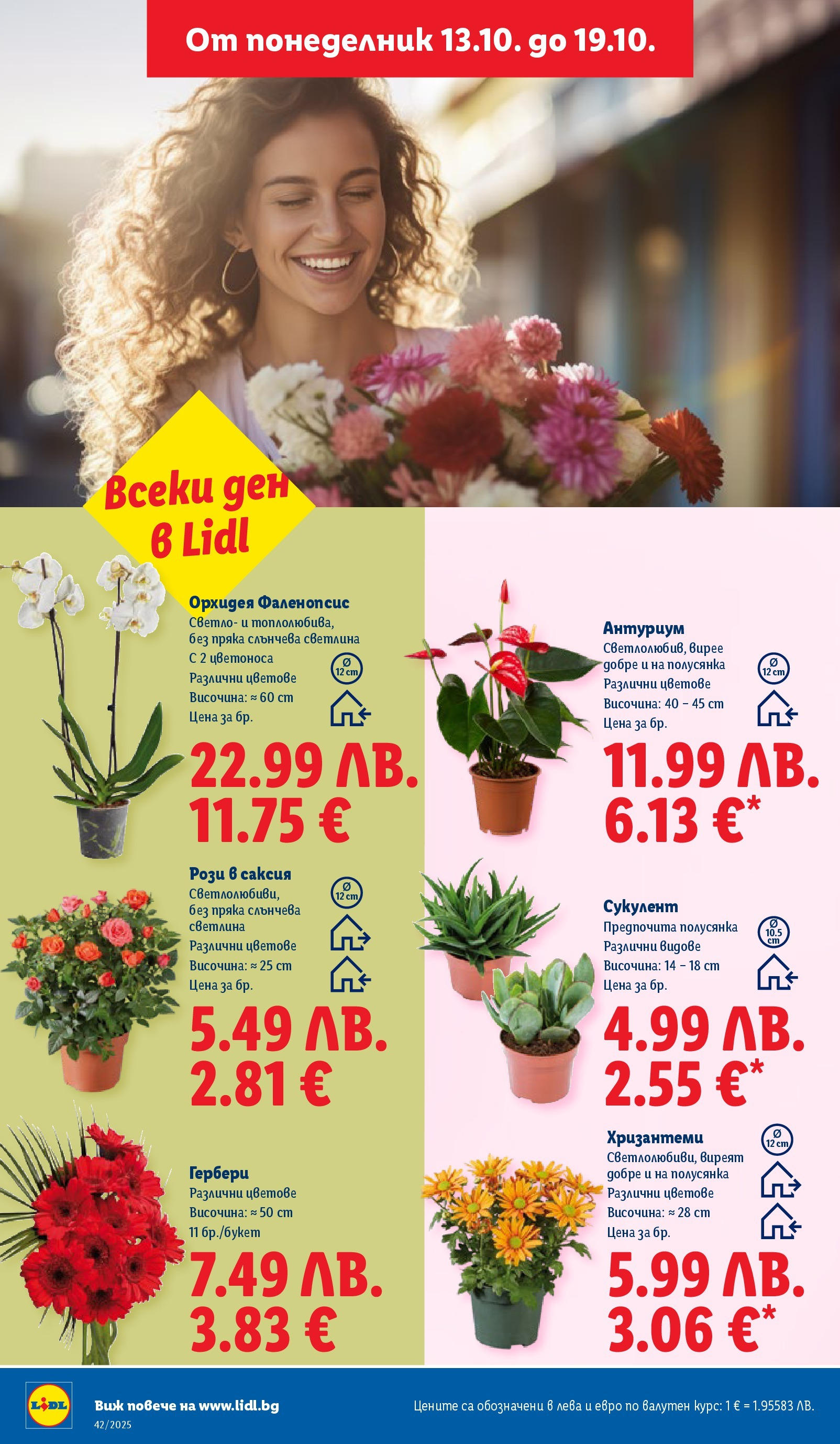 Cедмична брошура на Лидл от 13.10.2025 | Страница: 48 | Продукти: Орхидея, Саксия