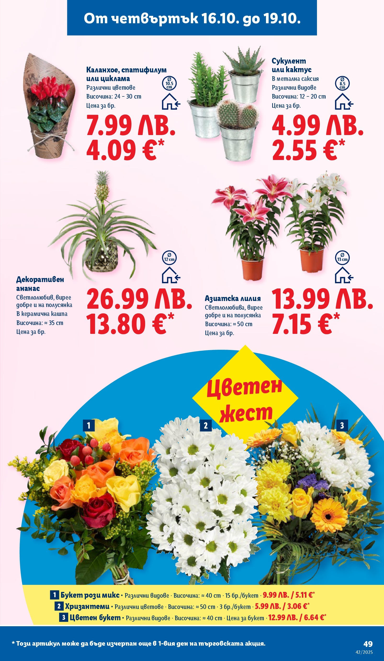 Cедмична брошура на Лидл от 13.10.2025 | Страница: 49 | Продукти: Кашпа, Ананас, Саксия