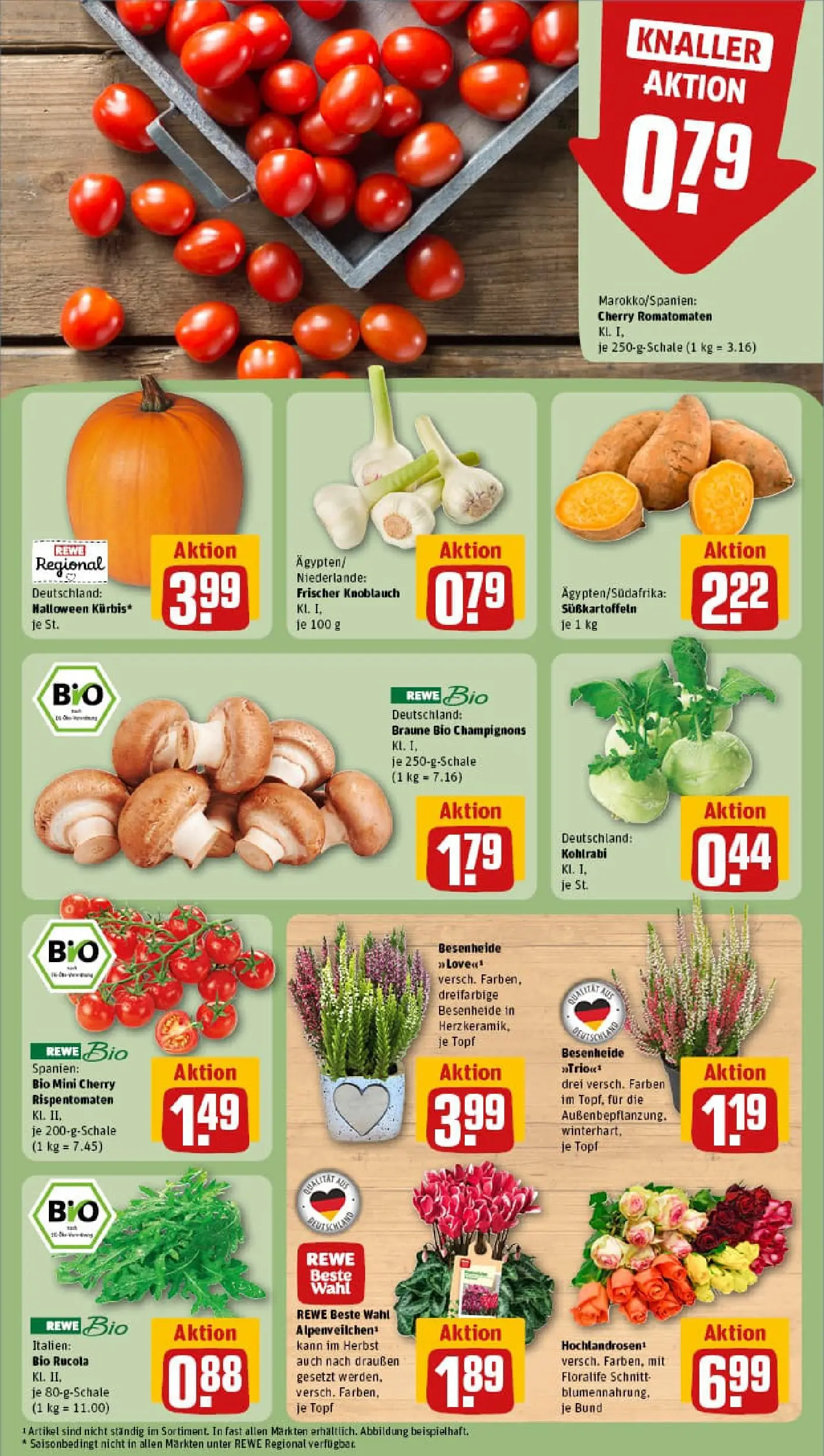 REWE Prospekt ab 13.10.2025 zum Blättern » Angebote | Seite: 7 | Produkte: Kohlrabi, Champignons, Knoblauch, Kürbis