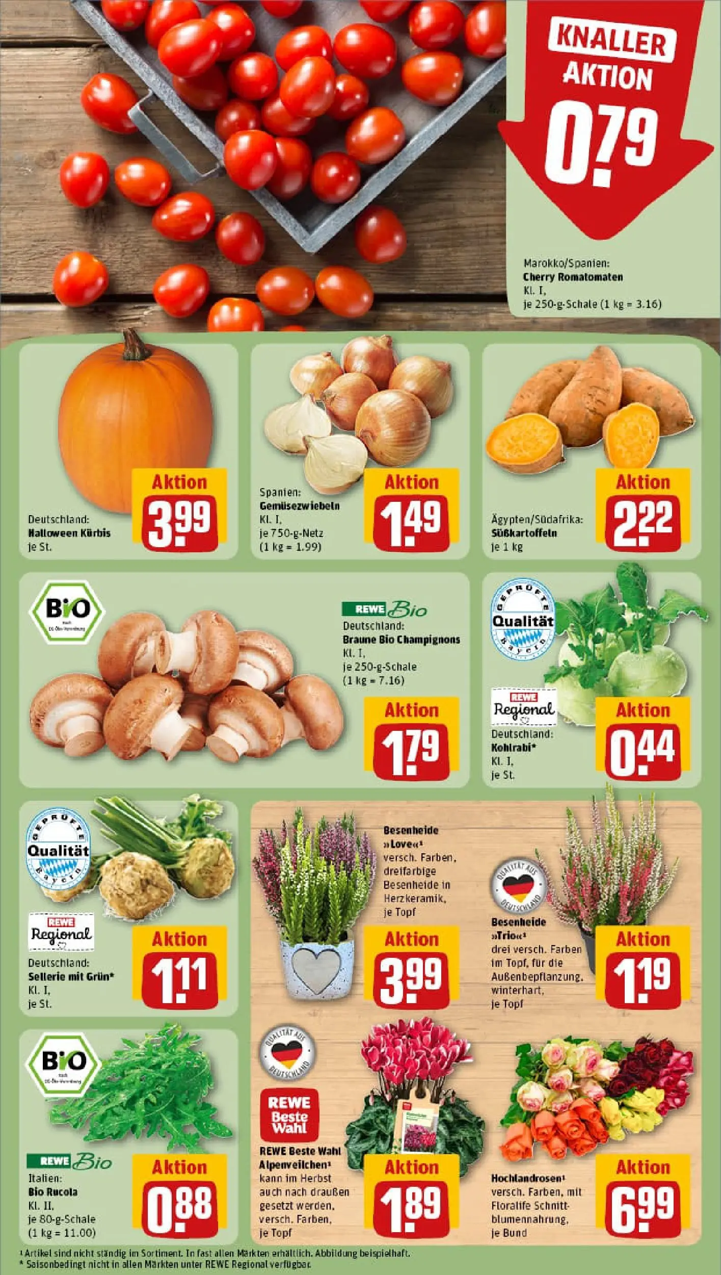 REWE Prospekt ab 13.10.2025 zum Blättern » Angebote | Seite: 9 | Produkte: Rucola, Kohlrabi, Champignons, Kürbis