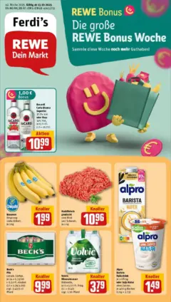 Rewe prospekt Bleckede	 ab 13.10.2025 gültig