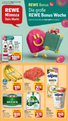 Rewe prospekt Bessenbach / Keilberg	 ab 13.10.2025 gültig