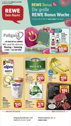 Rewe prospekt Soest	 ab 13.10.2025 gültig