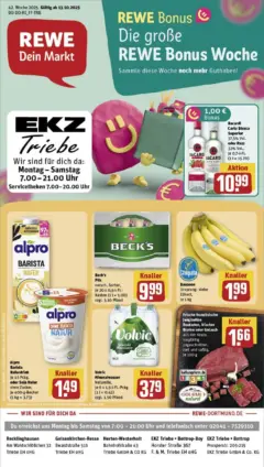 Rewe prospekt Herten	 ab 13.10.2025 gültig