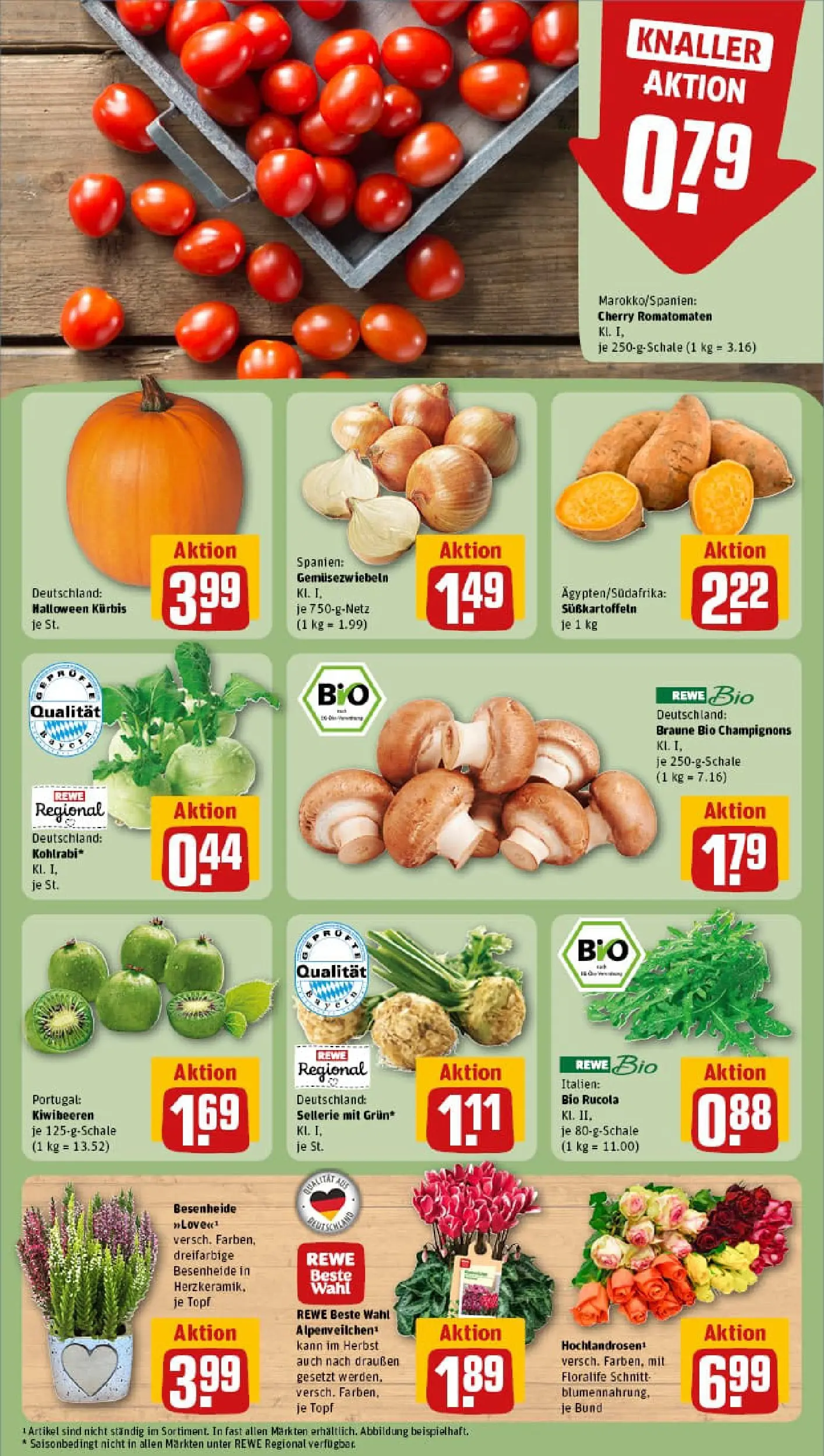 REWE Prospekt ab 13.10.2025 zum Blättern » Angebote | Seite: 7 | Produkte: Rucola, Kohlrabi, Champignons, Kürbis