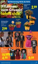Lidl Lidl: Flugblatt in deiner Nähe - ab 16.10.2025