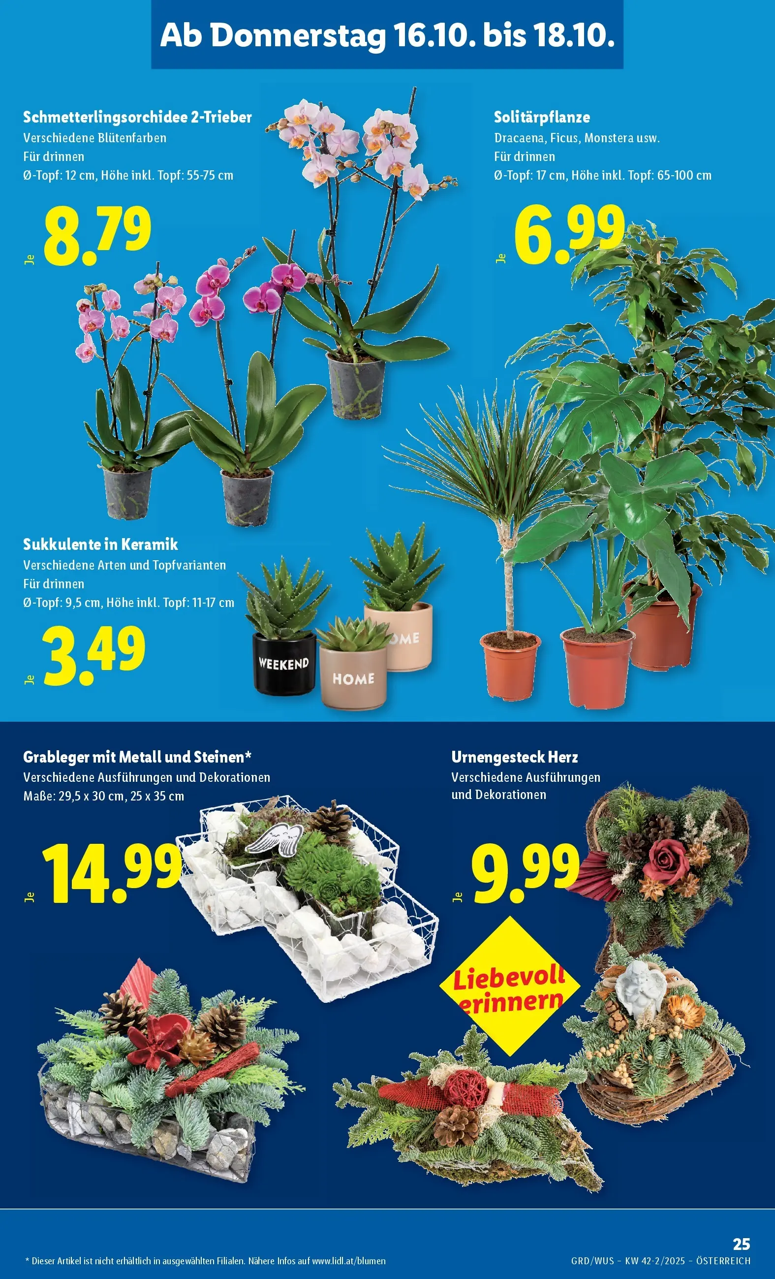 Lidl - Lidl: Flugblatt in deiner Nähe ab 15.10.2025 - Angebote ab donnerstag | Seite: 29