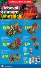Lidl Lidl: Flugblatt in deiner Nähe - ab 16.10.2025