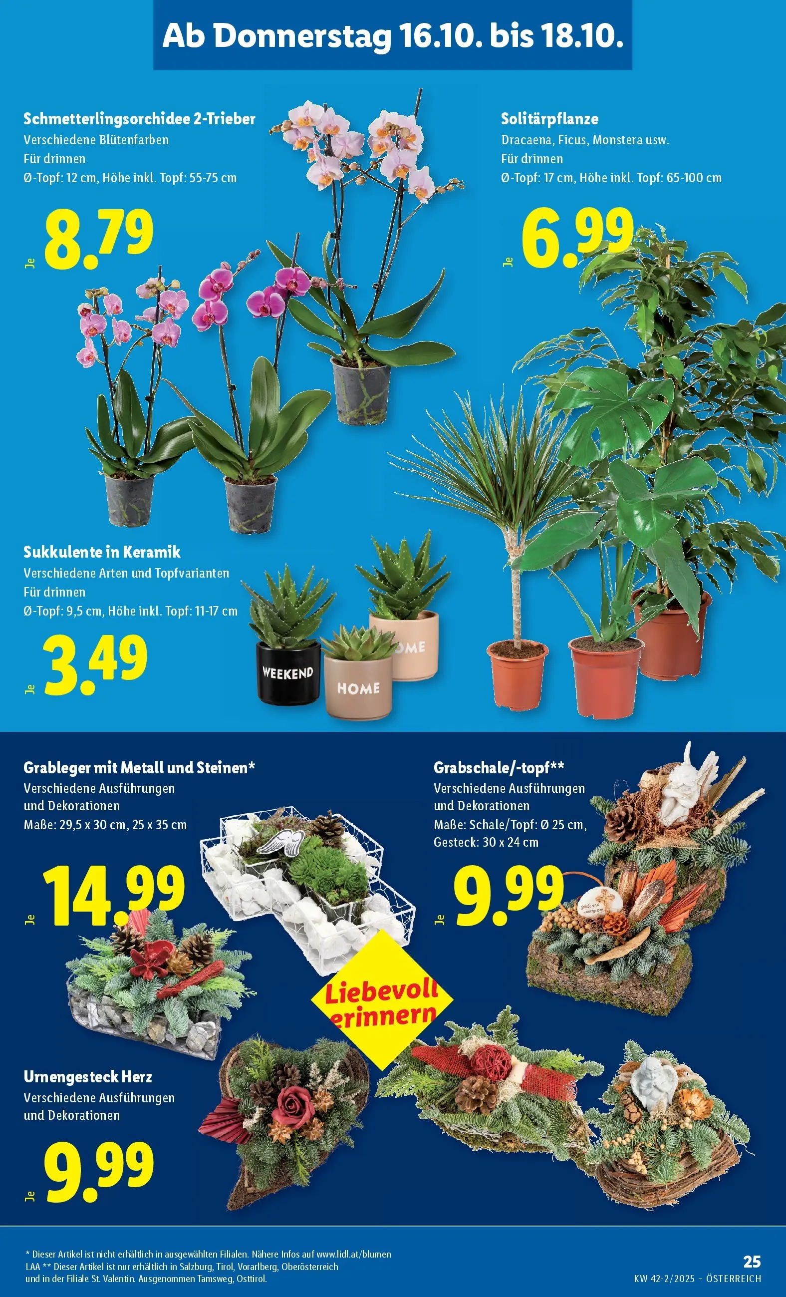 Lidl - Lidl: Flugblatt in deiner Nähe ab 15.10.2025 - Angebote ab donnerstag | Seite: 29