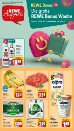 Rewe prospekt Waiblingen / Hegnach	 ab 13.10.2025 gültig