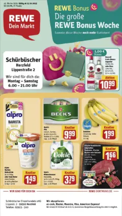 Rewe prospekt Lippetal	 ab 13.10.2025 gültig