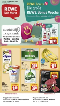 Rewe prospekt Lippstadt / Bad Waldliesborn	 ab 13.10.2025 gültig