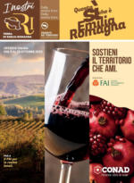 Conad City Questa si che e Emilia Romagna - al 22.10.2025