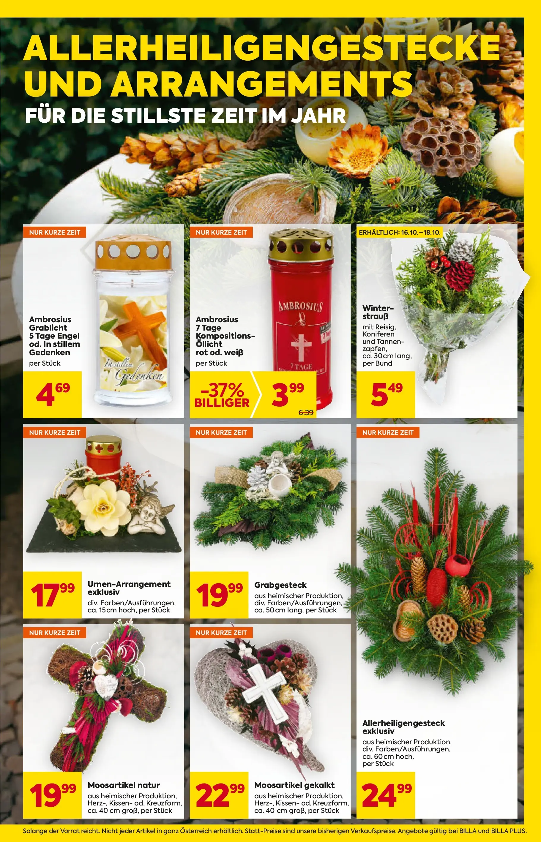 Billa - BILLA: Flugblatt gültig bei BILLA & BILLA PLUS ab 15.10.2025 - Angebote, Prospekt | Seite: 11 | Produkte: Kissen