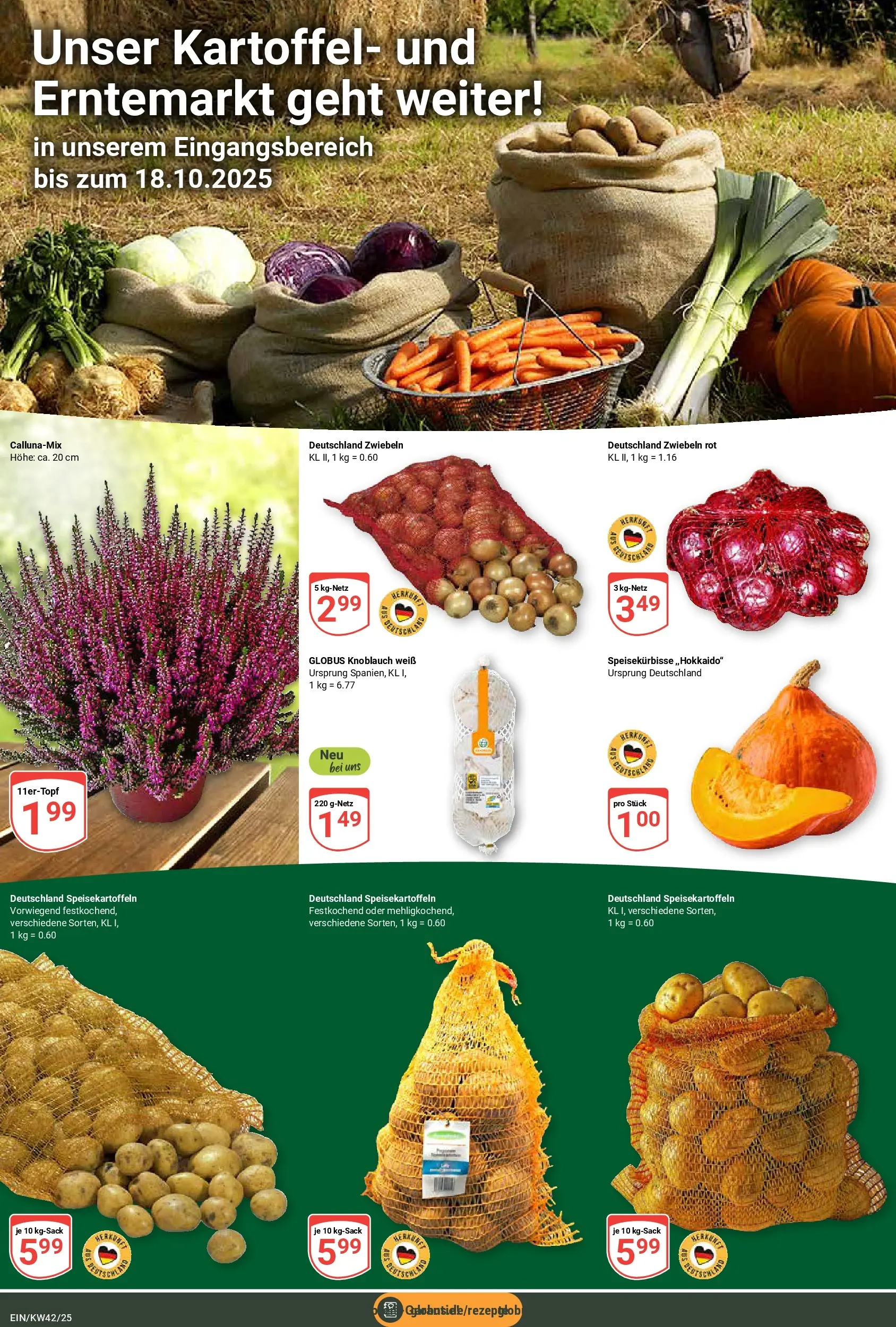 Globus prospekt Homburg-Einöd	 (ab 12.10.2025) » Angebote online | Seite: 11 | Produkte: Zwiebeln, Knoblauch