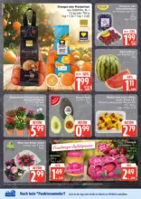 EDEKA: Wochenangebote