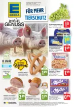 EDEKA EDEKA: Wochenangebote - ab 13.10.2025
