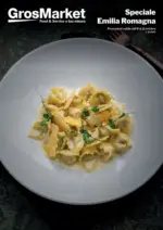 Sogegross EMILIA Sp Regionali 21 2025 - al 21.10.2025