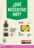 ¿Qué necesitas hoy?