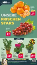 Netto APS : Wochenangebote