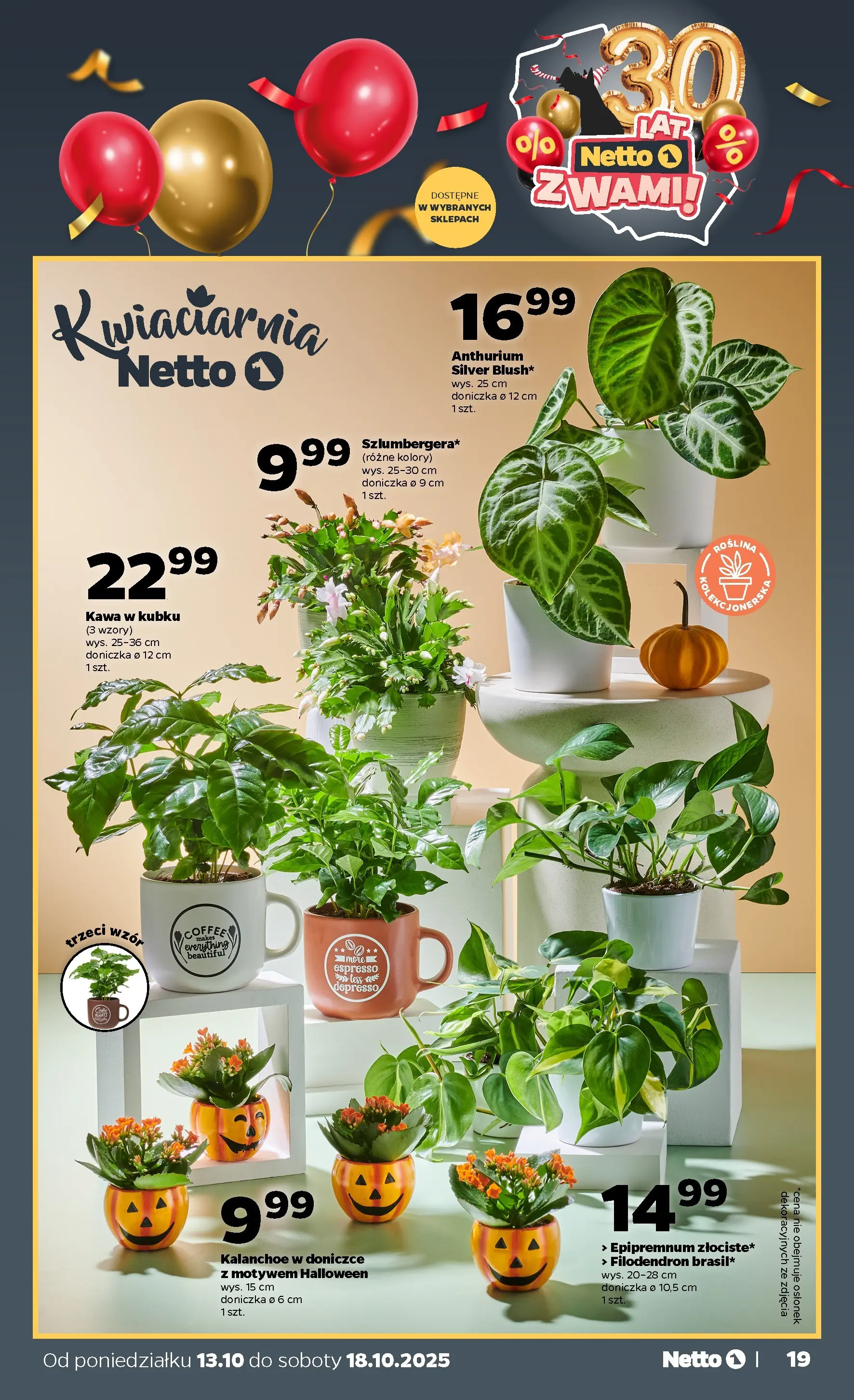 Netto gazetka - Spożywcza od 13.10.2025 - Aktualne promocje | Strona: 19 | Produkty: Doniczka, Kawa, Kalanchoe