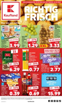 Kaufland prospekt Schwetzingen	 ab 15.10.2025 gültig
