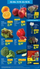 Lidl Lidl: Wochenangebote - bis 18.10.2025