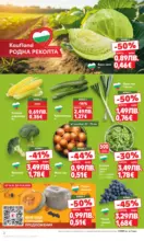 Kaufland хипермаркет Седмични оферти в Kaufland с валидност до 19.10.2025 - до 19-10-25