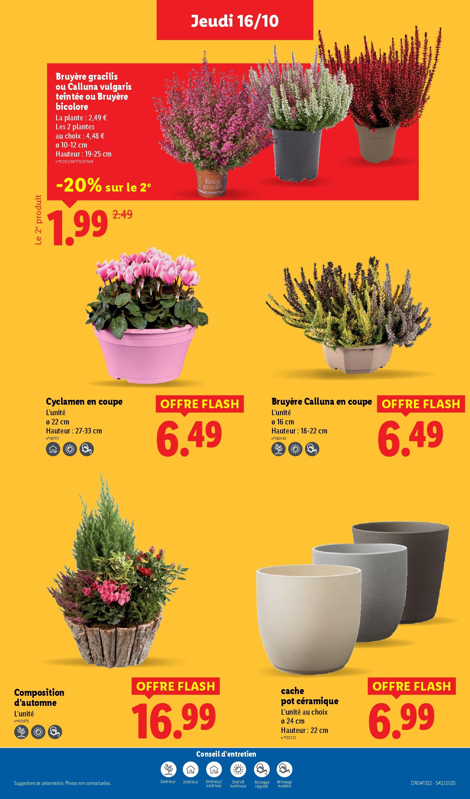 Catalogue LIDL du 16/10/2025 | Promo prospectus en ligne | Page: 37 | Produits: Plantes