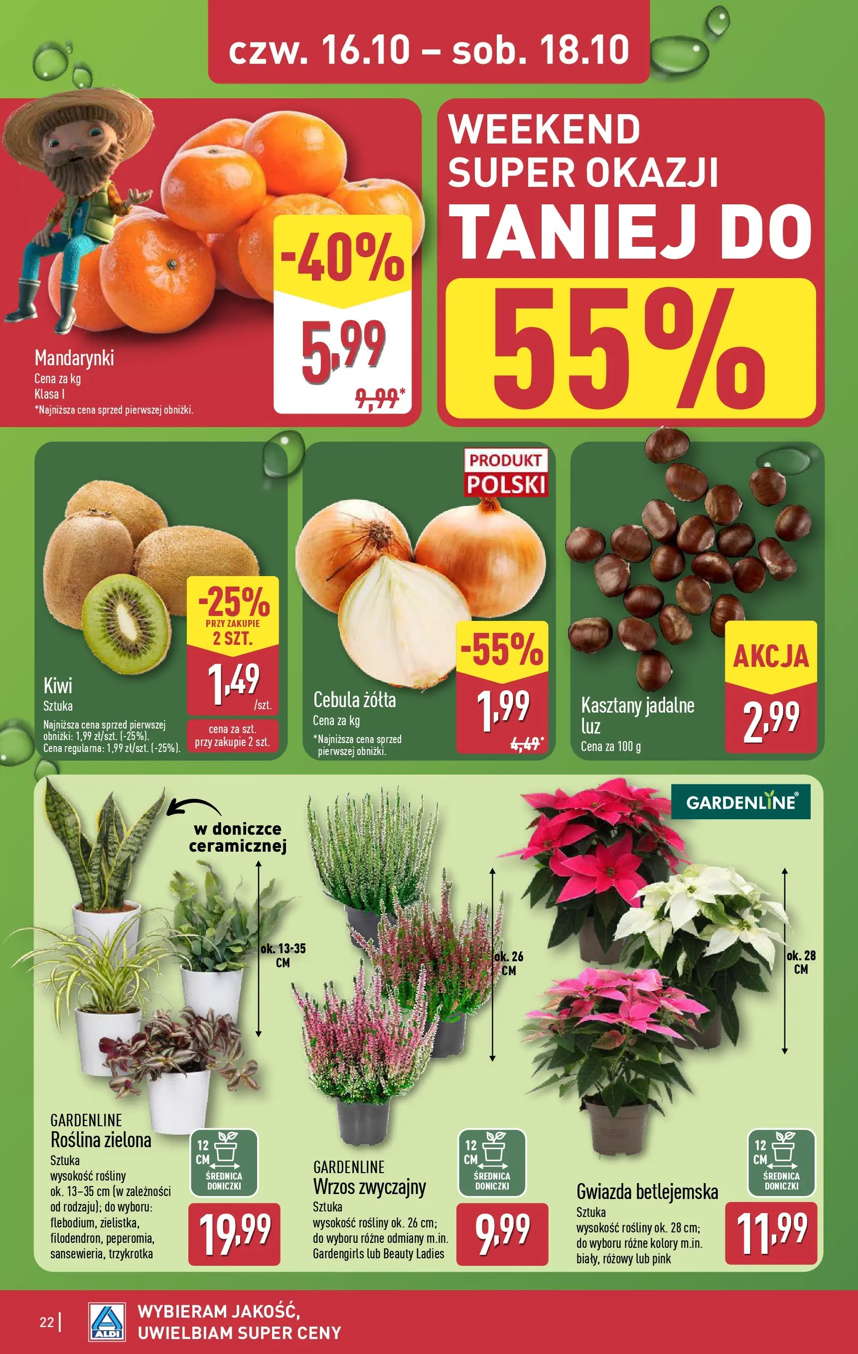 Aldi Gazetka od 13.10.2025 - Ulotka PDF, promocje | Strona: 22 | Produkty: Wrzos, Rosliny, Kiwi, Kasztany jadalne