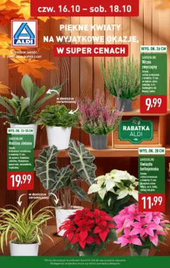 Pogląd oferty "Aldi - Piękne kwiaty w ALDI" - ważna od 15.10.2025