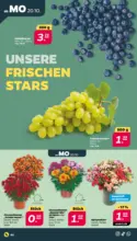 Netto APS : Wochenangebote
