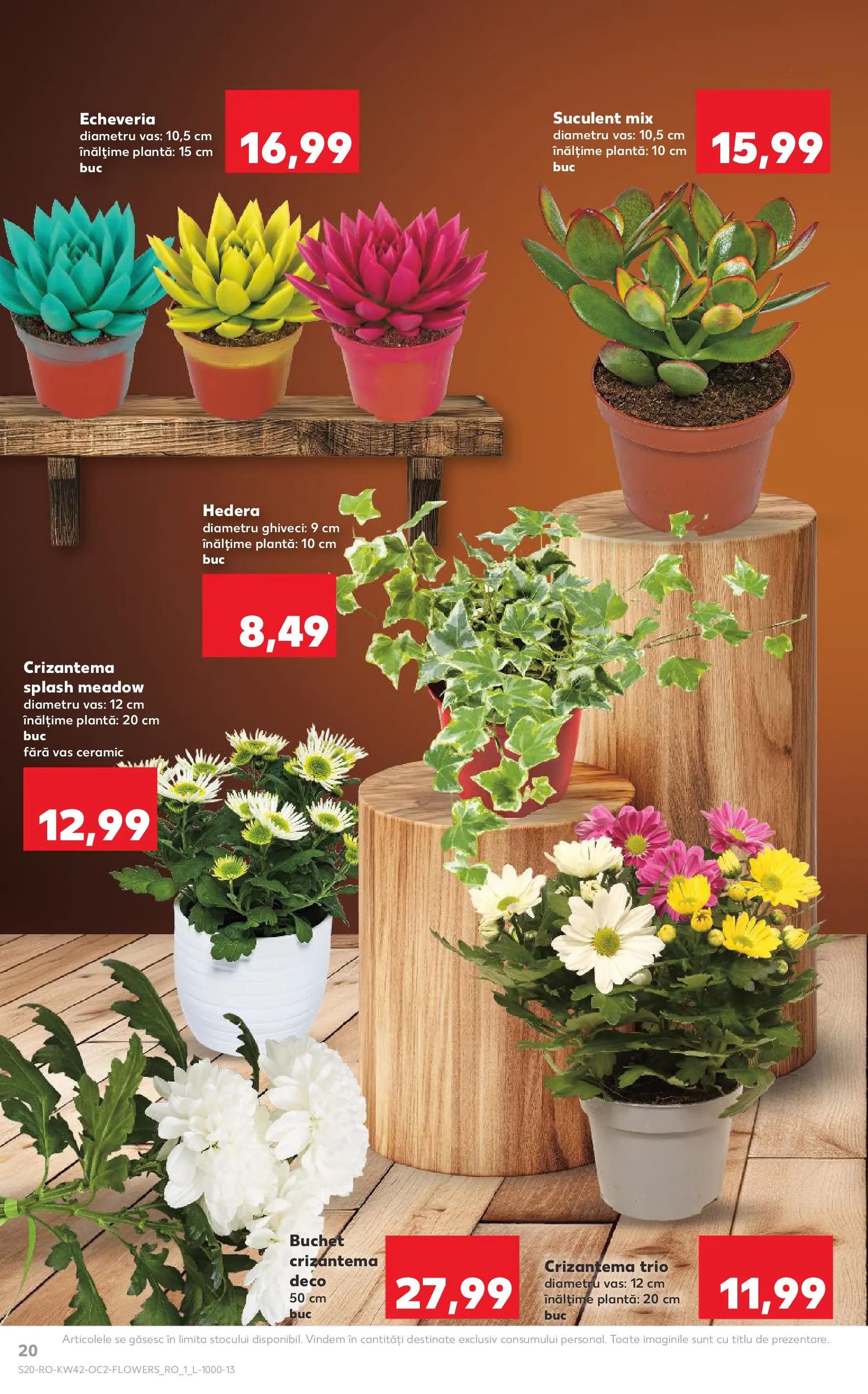 Catalog Kaufland - Bucureşti 15.10.2025 - Revista si Oferta | Pagină: 20 | Produse: Ghiveci