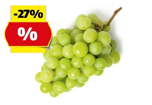 HOFER MARKTPLATZ Premium Trauben kernlos weiß